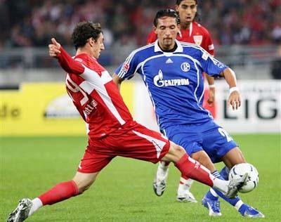 的发展指明 的发展指明